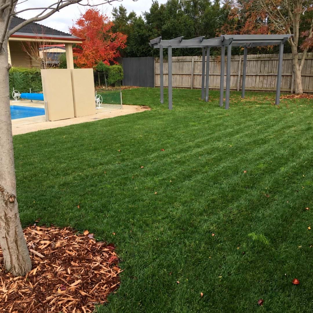 Natural Turf