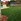 Natural Turf